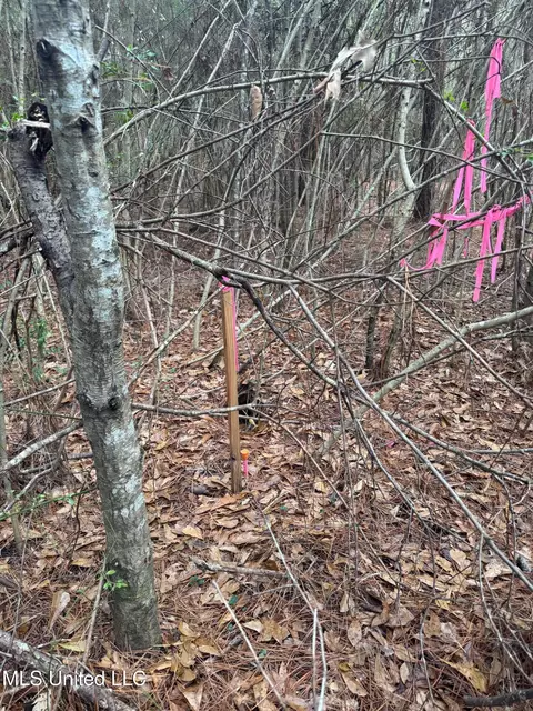 000 Elarton Rd, Osyka, MS 39657 photo 5