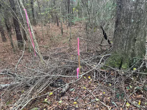 000 Elarton Rd, Osyka, MS 39657 photo 18