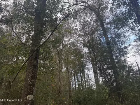 000 Elarton Rd, Osyka, MS 39657 photo 14