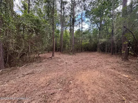 000 Elarton Rd, Osyka, MS 39657 photo 24