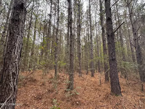 000 Elarton Rd, Osyka, MS 39657 photo 3