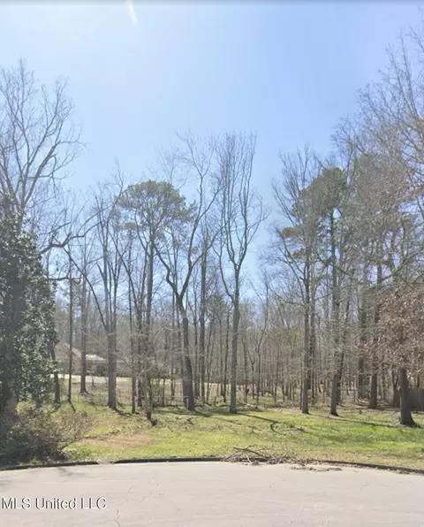 1069 Halton Ct, Brandon, MS 39047 photo 10