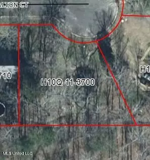 1069 Halton Ct, Brandon, MS 39047 photo 4