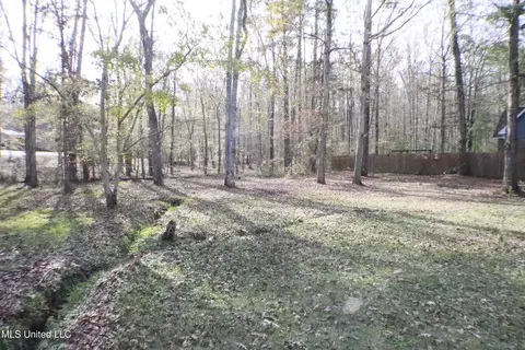 1069 Halton Ct, Brandon, MS 39047 photo 7