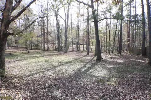 1069 Halton Ct, Brandon, MS 39047 photo 2