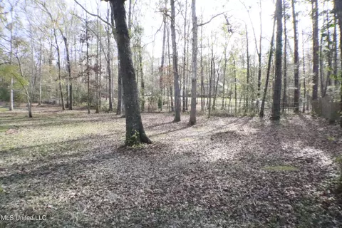 1069 Halton Ct, Brandon, MS 39047 photo 5
