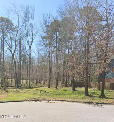 1069 Halton Ct, Brandon, MS 39047