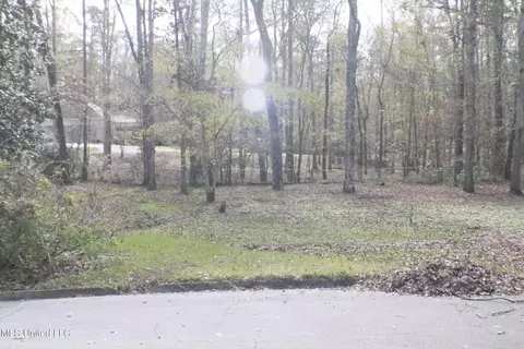 1069 Halton Ct, Brandon, MS 39047 photo 3
