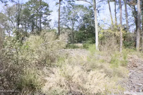 1074 Halton Ct, Brandon, MS 39047 photo 5