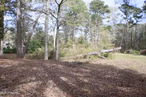 1074 Halton Ct, Brandon, MS 39047 photo 4