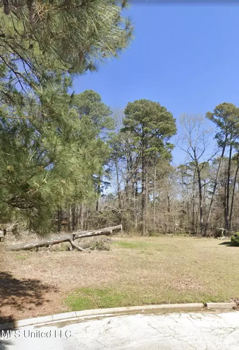 1074 Halton Ct, Brandon, MS 39047 photo 8