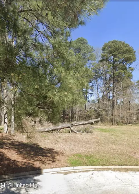 1074 Halton Ct, Brandon, MS 39047 photo 7
