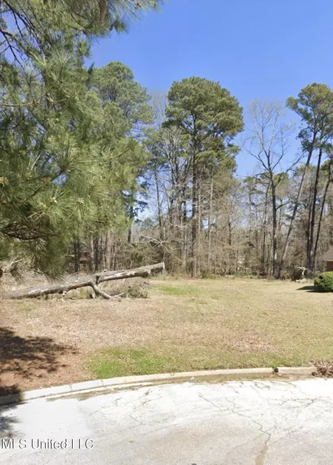 1074 Halton Ct, Brandon, MS 39047 photo 6
