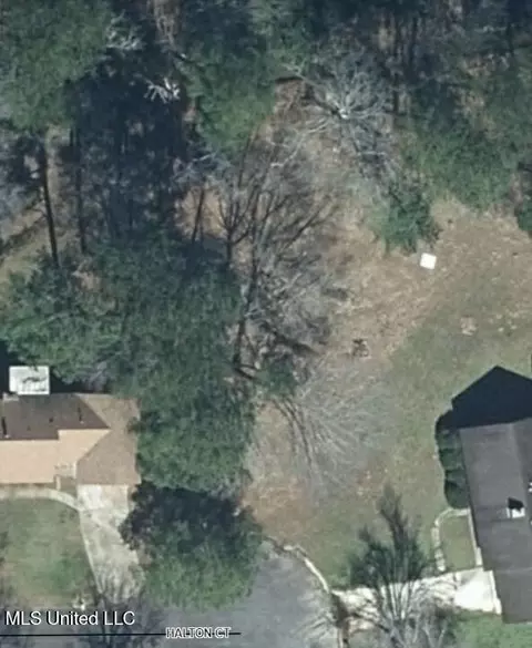 1074 Halton Ct, Brandon, MS 39047 photo 3