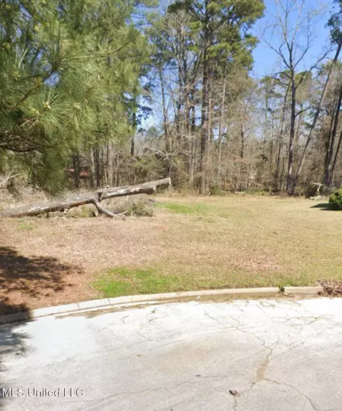 1074 Halton Ct, Brandon, MS 39047