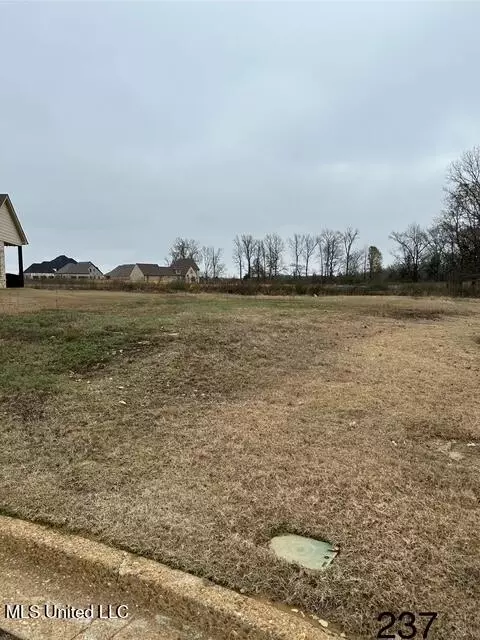 4298 Piland Park Cv, Olive Branch, MS 38654