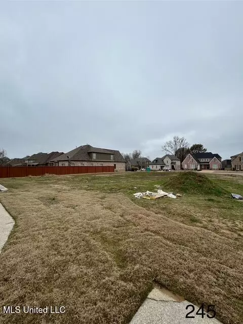 Bolivar Trail N, Olive Branch, MS 38654