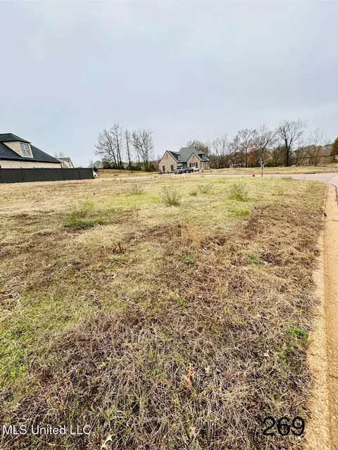 S Bolivar Trail, Olive Branch, MS 38654