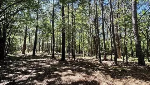 1 Robinson Rd, Canton, MS 39046