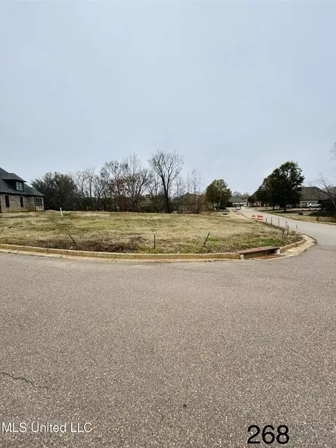 S Bolivar Trail, Olive Branch, MS 38654