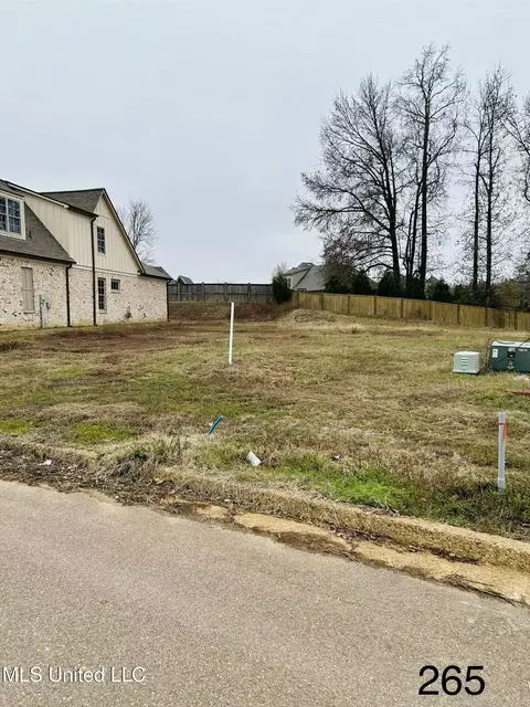 4191 S Bolivar Trl, Olive Branch, MS 38654