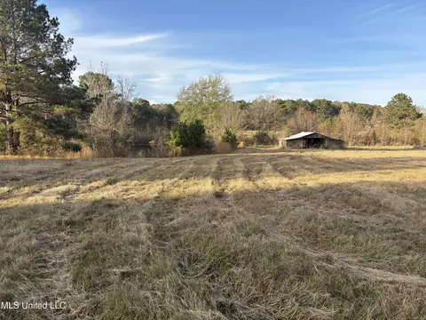 824 Ratliff Ferry Rd, Canton, MS 39046 photo 14