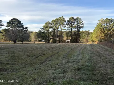 824 Ratliff Ferry Rd, Canton, MS 39046 photo 4