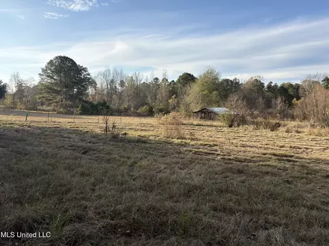 824 Ratliff Ferry Rd, Canton, MS 39046 photo 11