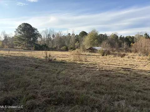 824 Ratliff Ferry Rd, Canton, MS 39046 photo 10