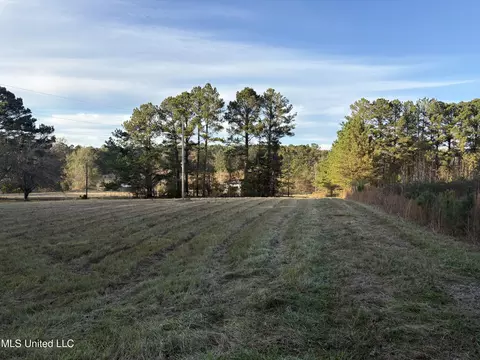 824 Ratliff Ferry Rd, Canton, MS 39046 photo 5