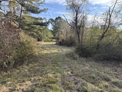 824 Ratliff Ferry Rd, Canton, MS 39046 photo 6