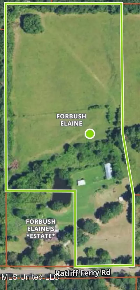 824 Ratliff Ferry Rd, Canton, MS 39046 photo 3