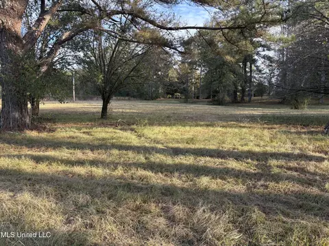 824 Ratliff Ferry Rd, Canton, MS 39046 photo 12