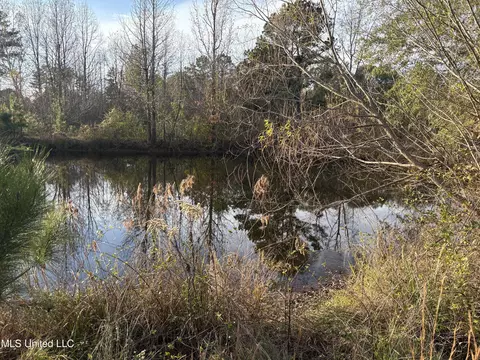 824 Ratliff Ferry Rd, Canton, MS 39046 photo 2