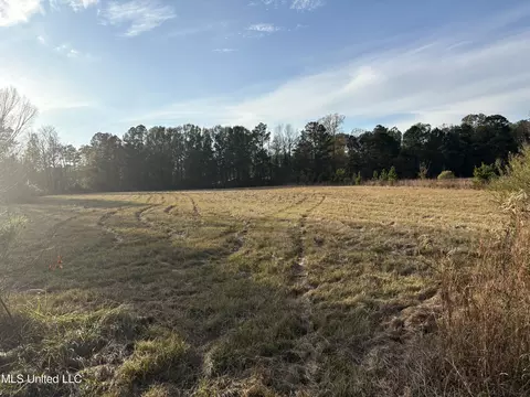 824 Ratliff Ferry Rd, Canton, MS 39046 photo 9