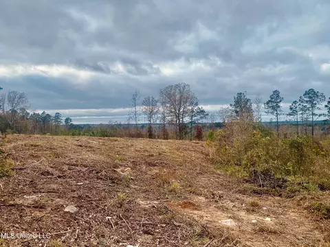 Saint Anne Road, Carthage, MS 39051
