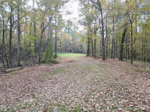 4 Old Hamburg Roxie Rd, Roxie, MS 39661
