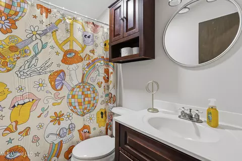 Bath - 92 Sam Davis Dr, Perkinston, MS 39573 photo 6 of 7
