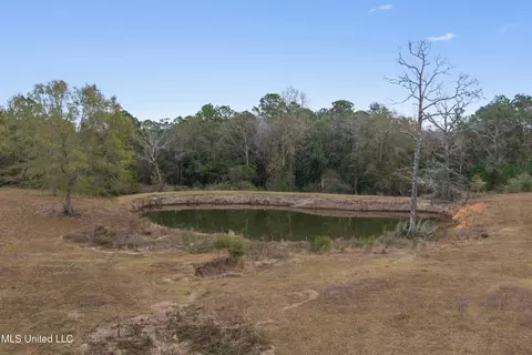 View/Area - 92 Sam Davis Dr, Perkinston, MS 39573 photo 2 of 10