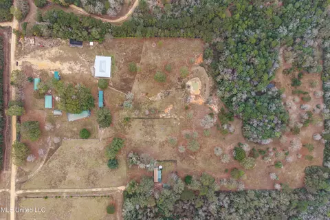 View/Area - 92 Sam Davis Dr, Perkinston, MS 39573 photo 7 of 10