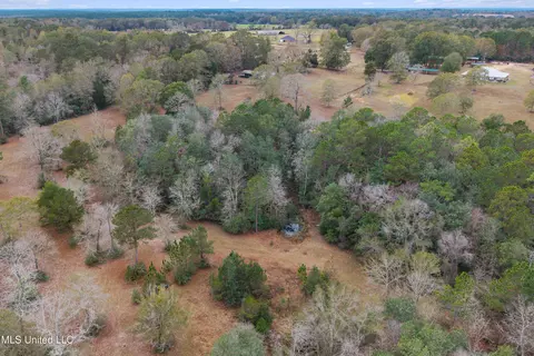 View/Area - 92 Sam Davis Dr, Perkinston, MS 39573 photo 8 of 10