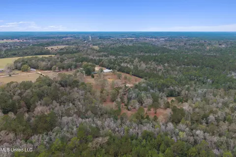 View/Area - 92 Sam Davis Dr, Perkinston, MS 39573 photo 5 of 10