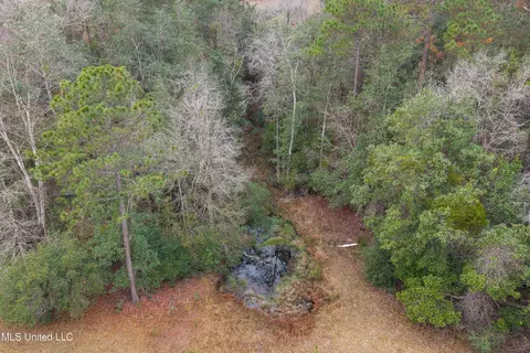 Other - 92 Sam Davis Dr, Perkinston, MS 39573 photo 22 of 27