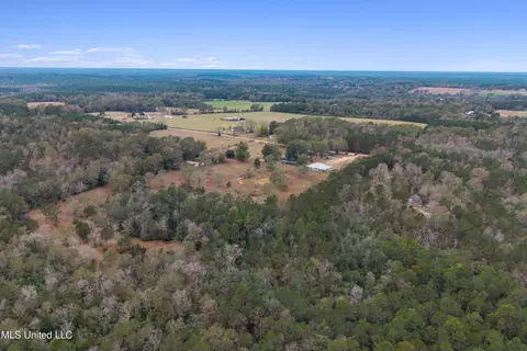 View/Area - 92 Sam Davis Dr, Perkinston, MS 39573 photo 4 of 10