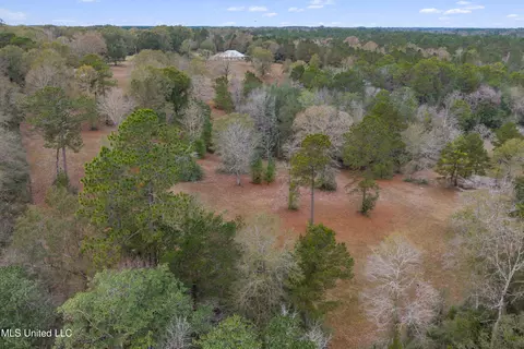 View/Area - 92 Sam Davis Dr, Perkinston, MS 39573 photo 9 of 10