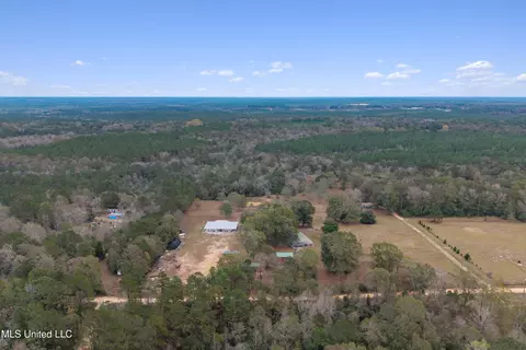 Other - 92 Sam Davis Dr, Perkinston, MS 39573 photo 18 of 27