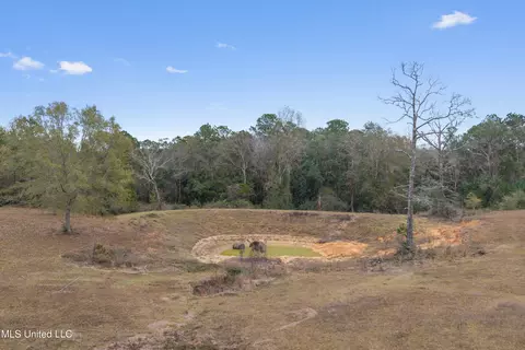 Other - 92 Sam Davis Dr, Perkinston, MS 39573 photo 25 of 27