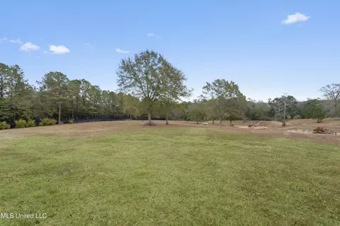 Exterior - 92 Sam Davis Dr, Perkinston, MS 39573 photo 5 of 13