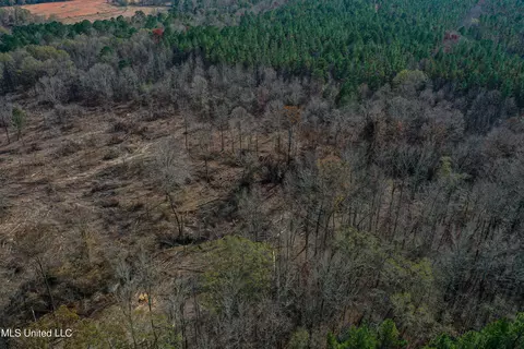 001 Alva Rd, Eupora, MS 39744 photo 16