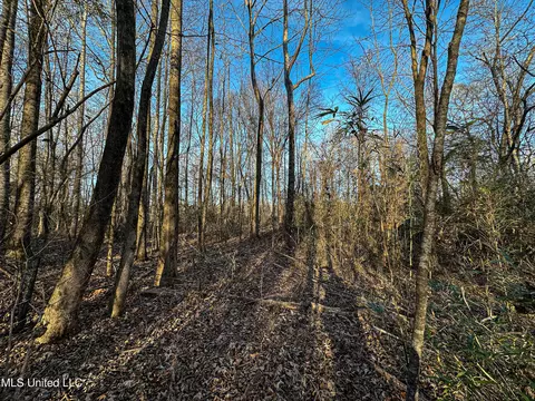 001 Alva Rd, Eupora, MS 39744 photo 22